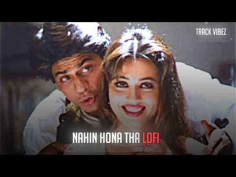 Nahin Hona Tha Lofi | Pardes | 90's Songs Lofi