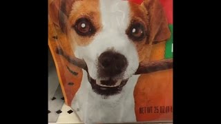 A Punny Video!!! | Target w/ Le Girlfriend | Floyd & Kyle
