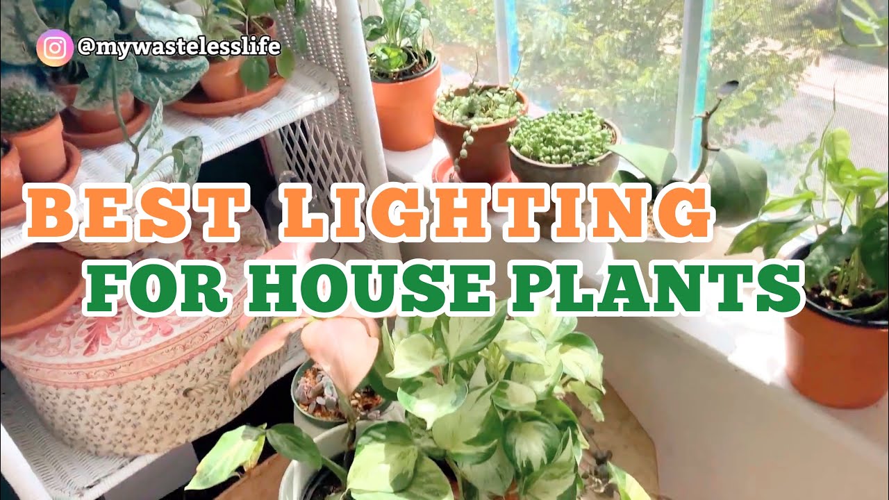 The Definitive Guide to Best Grow Lights