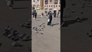 Madinah Statusmadinahki Ronaq