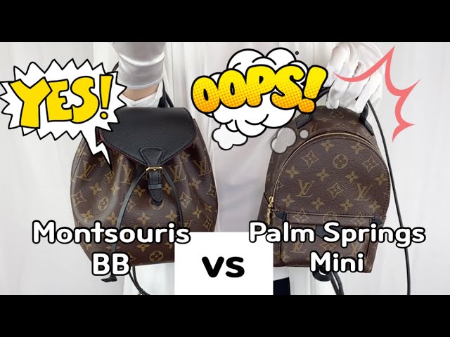 Montsouris BB vs Palm Springs Mini, LV Mini Backpacks