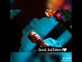 Nana Sain Parat Thai Muhinje Suhine Sain Ji SSD DHAM DHULIYA RINGTONE STUTAS VIDEO