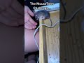 1010 do not recommend the mousetales challenge just get a live trap instead 