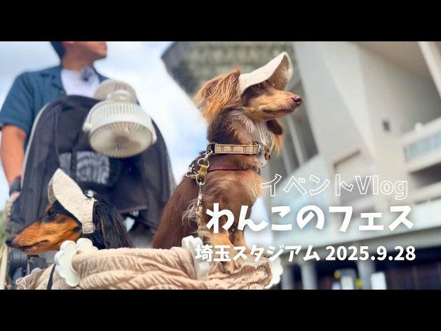 Traveling with Dogs in Saitama Event] The Dog Festival at Saitama