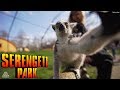 Außergewöhnliche Freizeitpark Attraktionen im Serengeti Park Hodenhagen - Ride Review - 2019