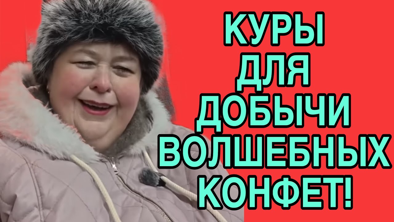 КУРЫ НУЖНЫ ДЛЯ ВОЛШЕБНЫХ КОНФЕТ. ОЛЬГА УРАЛОЧКА LIVE. ОБЗОР. 