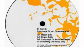 Dj Yoav B - Language Of An Open Heart (Cat Walking On Piano Mix)