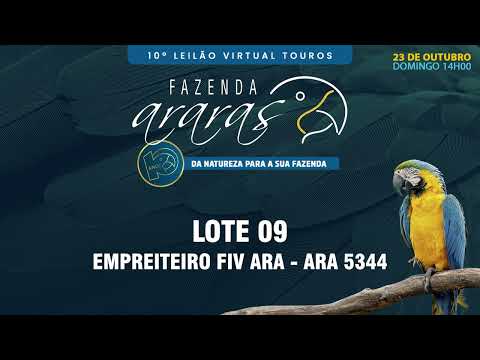 LOTE 09 ARA 5344