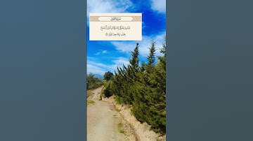 سورة الطور الآية 48.    #القرآن_الكريم #quran #الصبر