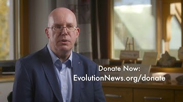 Scientist Günter Bechly on the Importance of a Platform to Debate Darwin