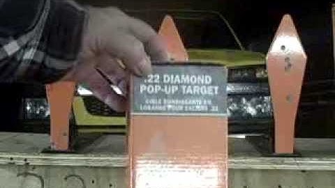 Champion 22 Diamond Pop Up Targets-Take 2