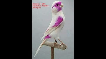 Microsoft Deployment Toolkit Chapter 2 - MDT Installation & WINDOWS 11 OS Import