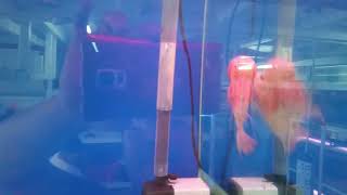 20170209 125240