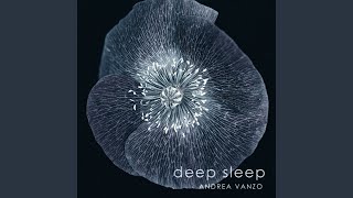 Deep Sleep