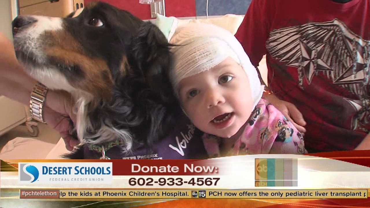 Pet therapy: Phoenix Children's Hospital telethon helps raise money