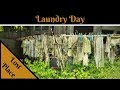 Lost Place- Laundry Day - Einen alten Baum verpflanzt man nicht