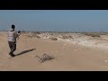 جزيرة مسكان جزيرة مسكان
