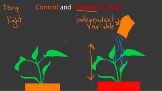 Control and Variable Groups experiment 2017 18 NEW