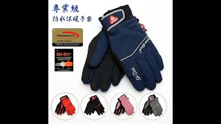 防水手套,保暖手套,冬手套,SKIDRI,PRIMALOFT,騎士手套,摩托車手套,滑雪手套,雪地手套,AR67,SNOWTRAVEL,雪之旅