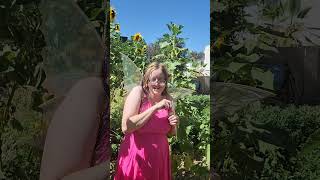 The Bubble Fairy Episode 1 Shorts