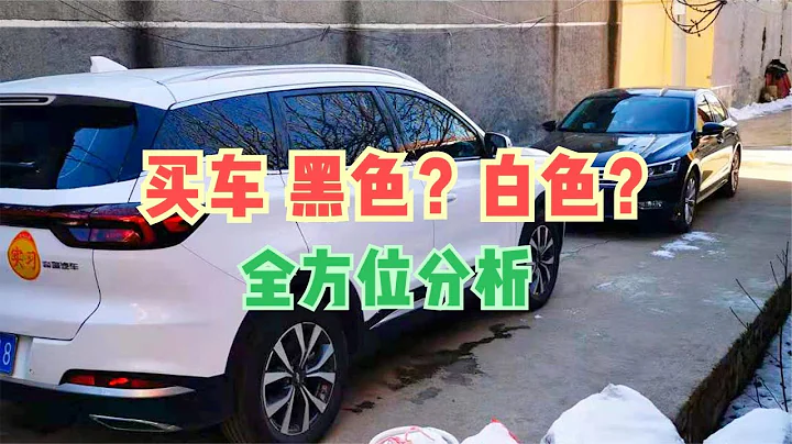 買車到底選黑色還是白色？從車型，使用場合，耐臟程度全方位分析 - 天天要聞