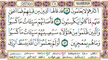 القرآن الكريم مقسم صفحات | الشيخ حاتم فريد | سورة الزمر | صفحة 464 مكتوبة | مصحف التجويد الملون