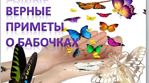 Бабочки. Приметы .