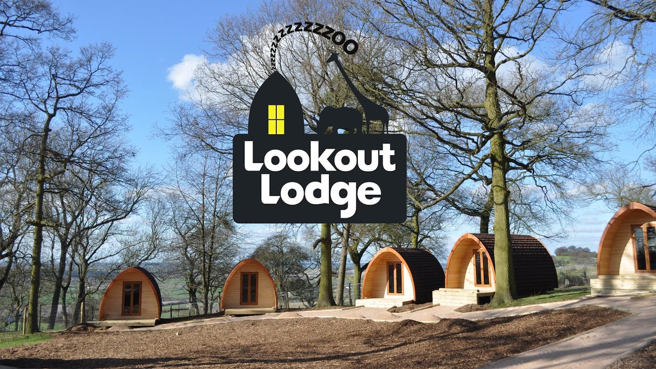 Have a sleepover safari at Lookout Lodge