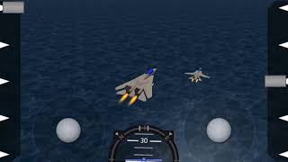F-14 Tomcat formation