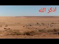 سبحان الله شاهد مرور حمام السباق وسط الصحراء