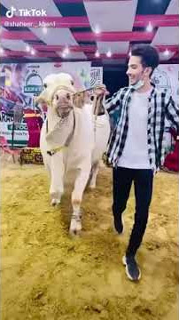 Ahwarun Ahwarun Ringtone || Islamic Ringtone || Virel Bgm Ringtone Download || WhatsApp Status || 💫🥀