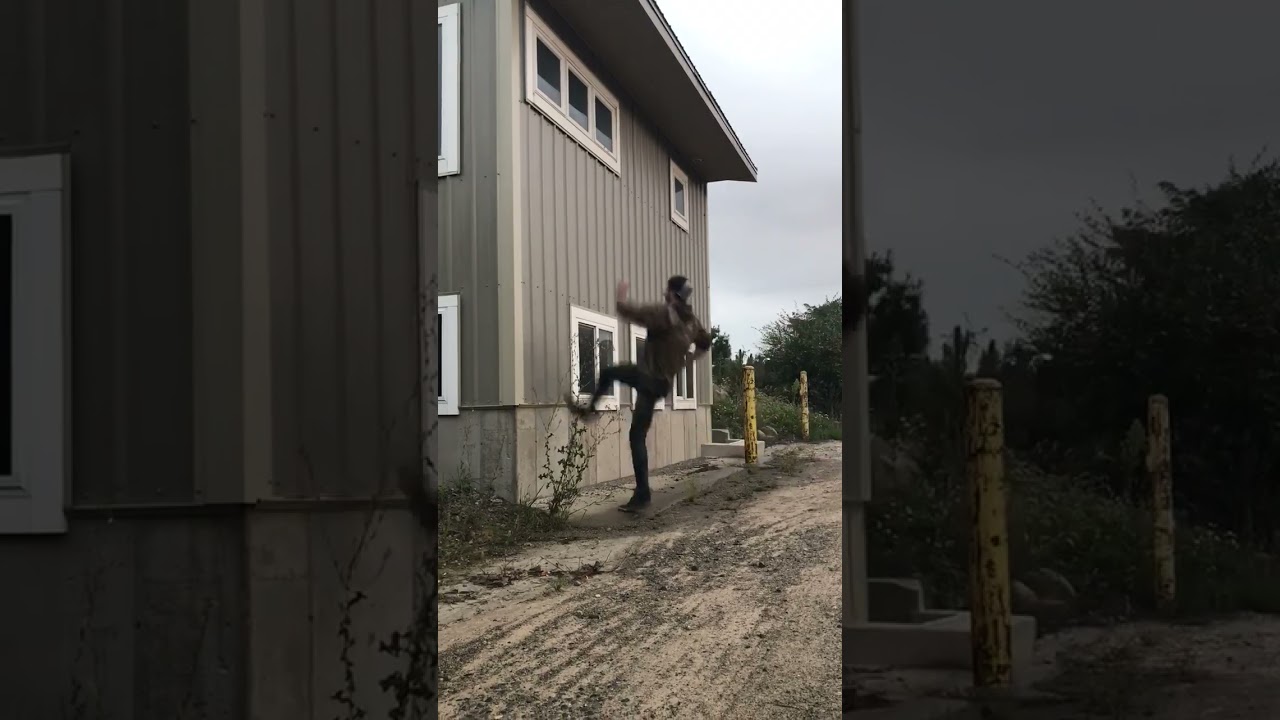 Guy runs up wall on the side of house in attempt to backflip and faceplants on the ground