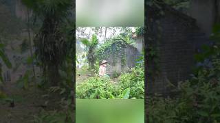 Clean up free ingle mother's old house #cleanupfree #cleaning #cleanup