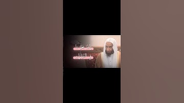 سورة الحجرات الشيخ احمد بن طالب