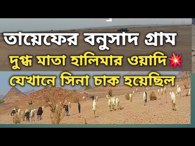 Arman porno onlayn Anal golf porno