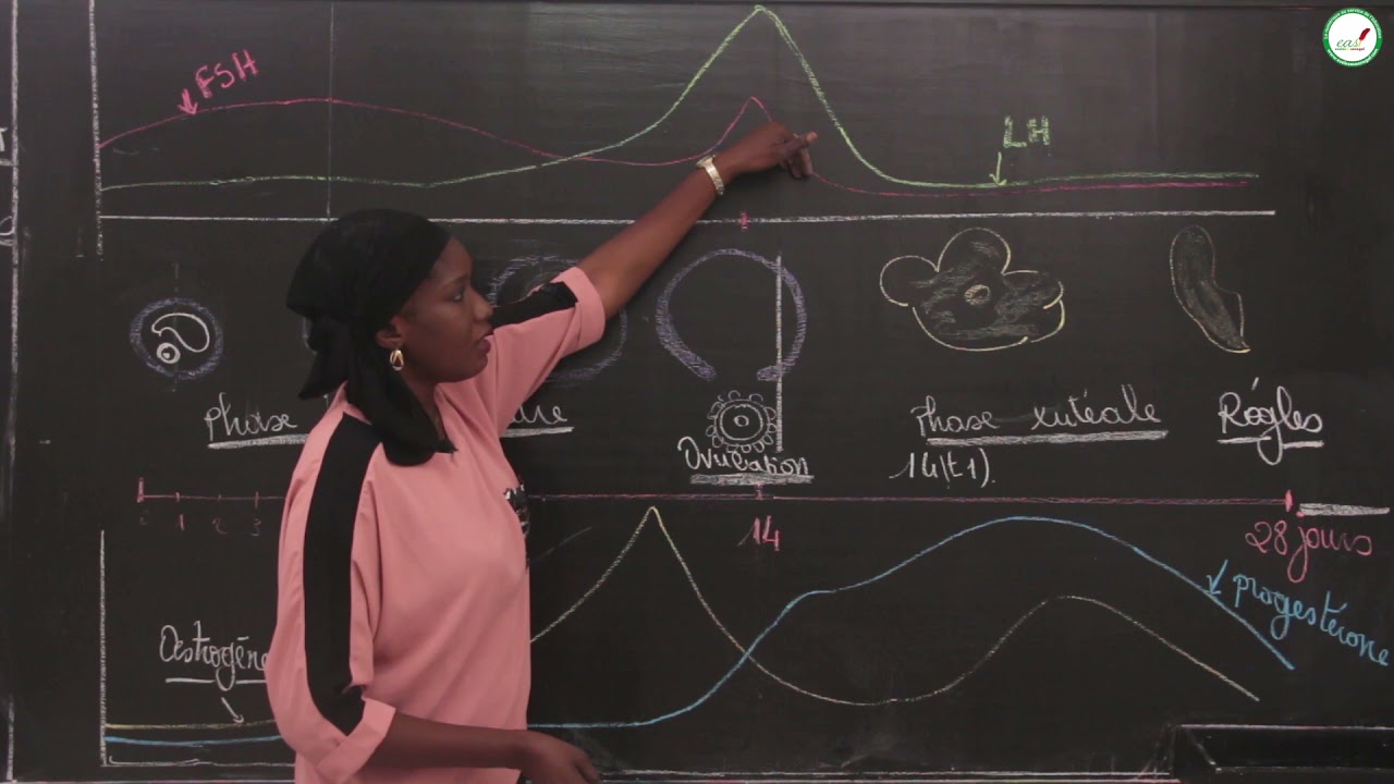 Cours - Terminale L - SVT :Régulation du fonctionnement des appareils reproducteurs / Mme Cissé / S3