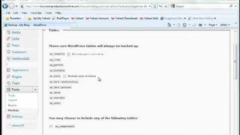 Backup Your Site - WordPress Basics Video Tutorial