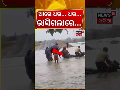 Subarnapur Flood | Biker Washed Away In Overflowing Stream, Rescued By Locals | Odisha Flood