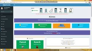 Çılgın Tavuklar Akçe Hilesi , Yumurta Hilesi , Para Hilesi , 03.08.2016 screenshot 5