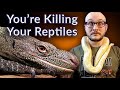 Top 5 Reptiles YOU Are Keeping WRONG | Most Neglected Reptiles in 2021