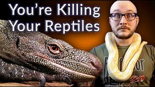 Top 5 Reptiles YOU Are Keeping WRONG | Most Neglected Reptiles in 2021