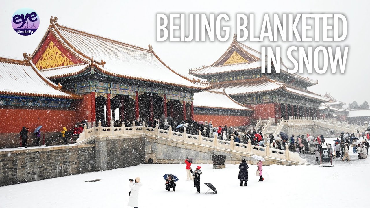 Residents delight as Beijing's Forbidden City blanketed in snow and ...