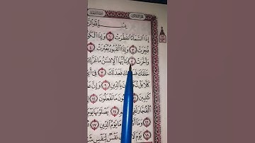 تلاوة جميله تخطف القلوب لسورة الانفطار #القرآن_الكريم #المصحف #quran #قرآن 🌻🕊🌼🌤🌴💖💐