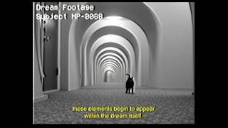 LIMBUS RESEARCH BRIEF/ M-1.0/ DREAM PRIMING #analoghorror #limbus 