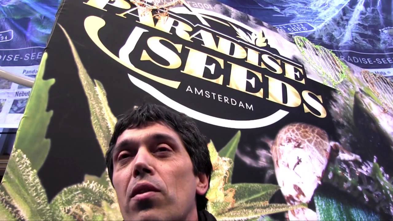 High Times 2012 Paradise Seeds - Hemp.xxx - 25th Cannabis Cup Amsterdam