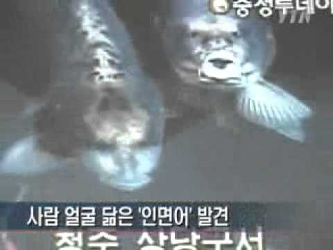 微雷 看完 人面魚 紅衣小女孩外傳 你該搞懂的事 魔神仔 蘭潭魚怪 鄭成功信仰 電影 Gq瀟灑男人網 Gq