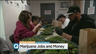 Sacramento Expects To License Hundreds Of Marijuana Cultivation Businesses