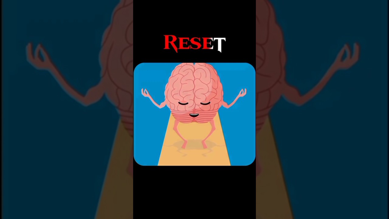 RESET YOUR LIFE. Start from zero. 