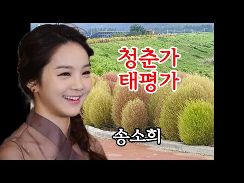 송소희 청춘가 태평가