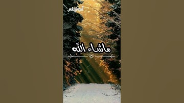 سورة آل عمران تلاوة خاشعة  | من أجمل التلاوات | للقارئ أسامة بومشاش